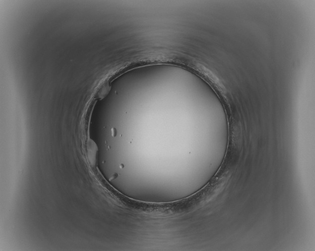 X0000112370673200908201503