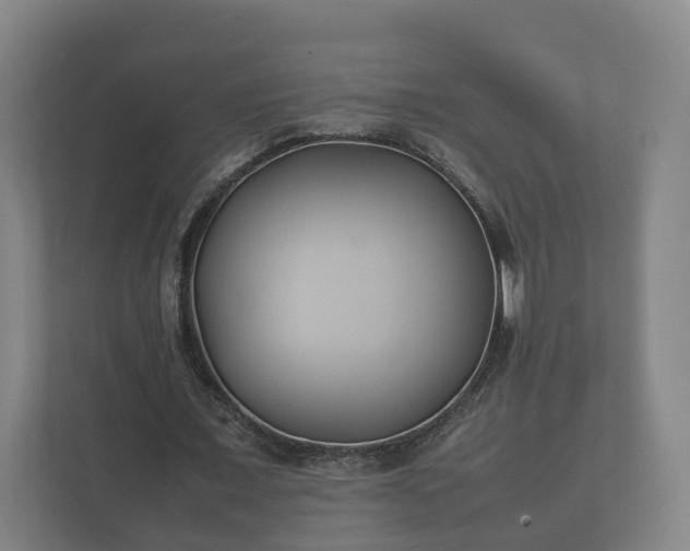 X0000112370675200908201503