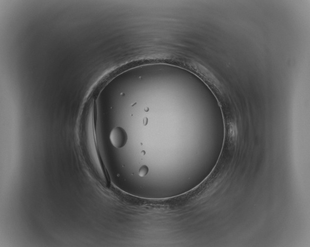 X0000112370676200908201503