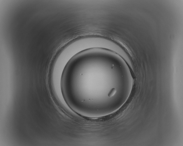 X0000112370677200908201503