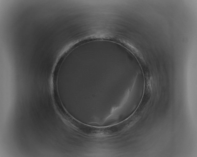 X0000112370678200908201503