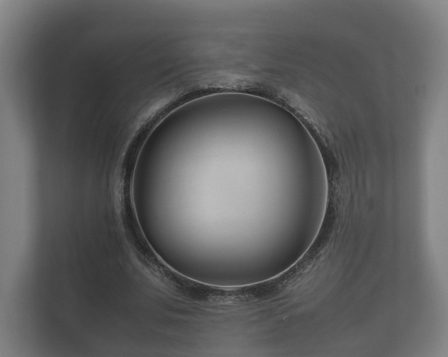 X0000112370679200908201503