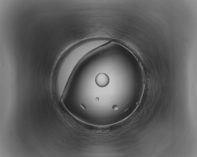 X0000112370680200908201503