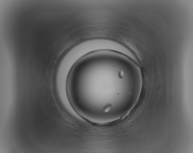 X0000112370681200908201503