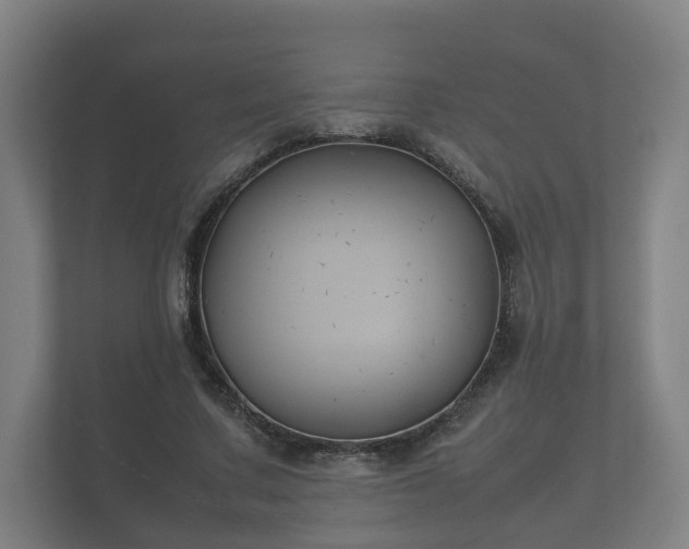 X0000112370683200908201502