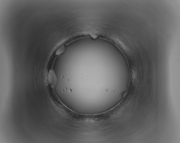 X0000112370684200908201502