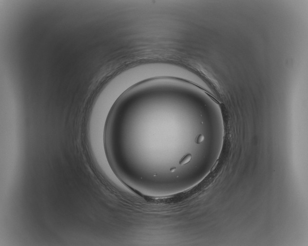 X0000112370685200908201502