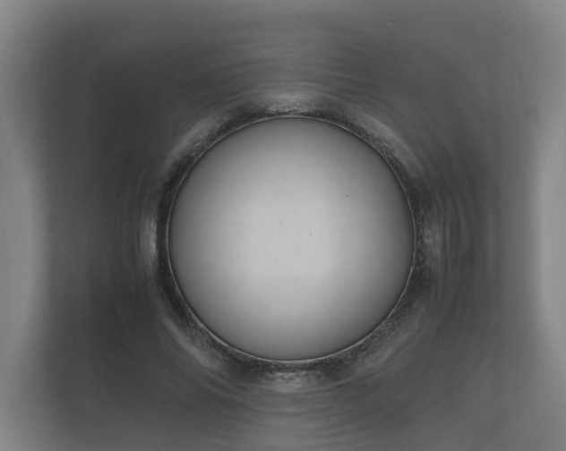 X0000112370686200908201502