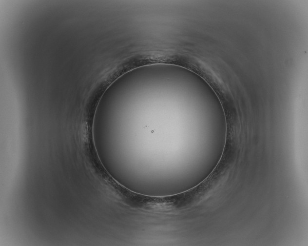 X0000112370689200908201502