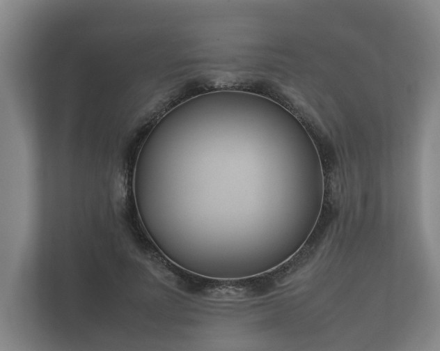 X0000112370691200908201502