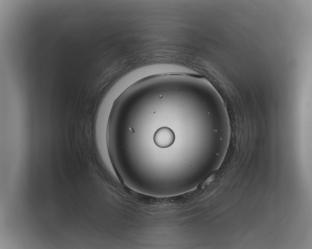 X0000112370696200908201502