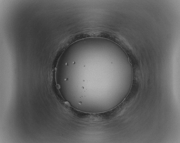 X0000112370697200908201502