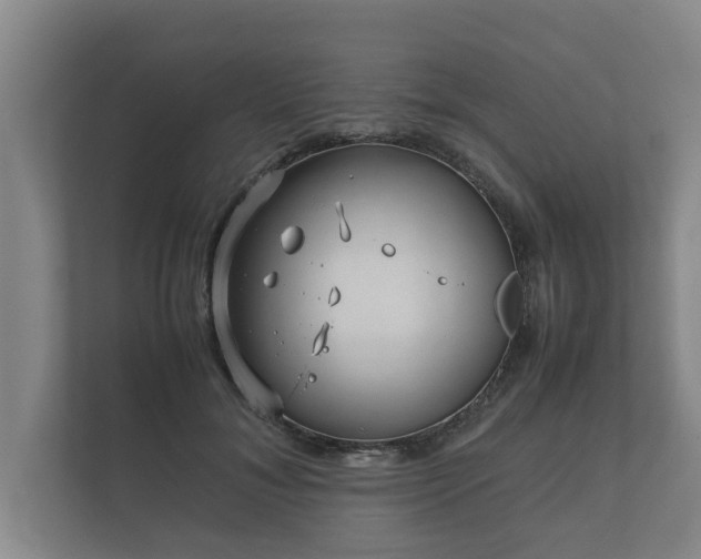 X0000112370700200908201502