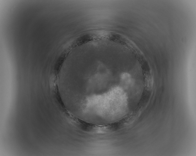 X0000112370701200908201502