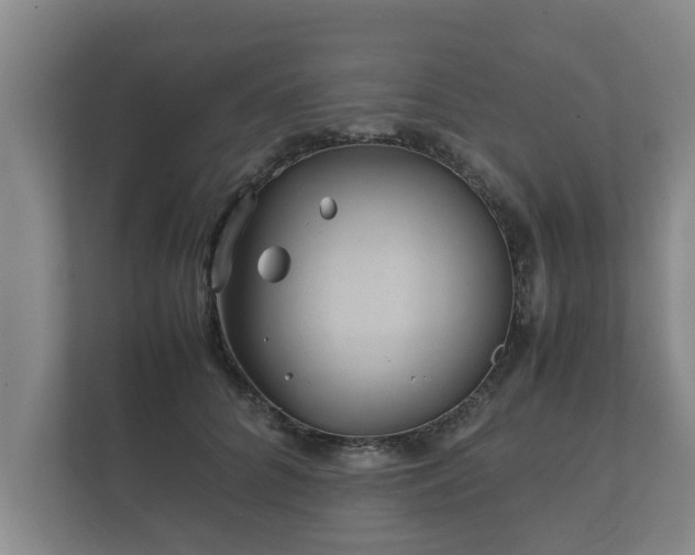 X0000112370704200908201502