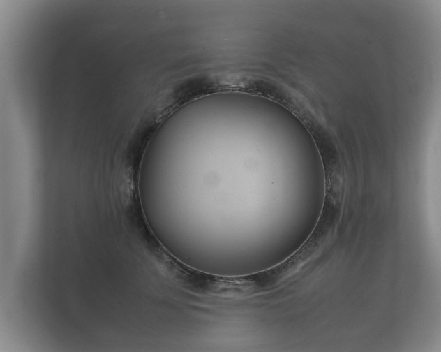 X0000112370707200908201502