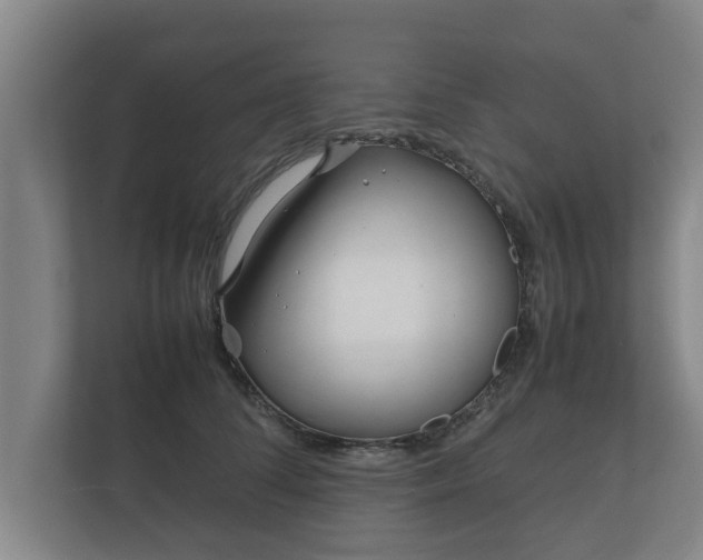 X0000112370708200908201502