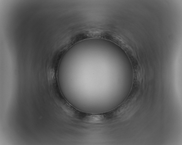 X0000112370711200908201502