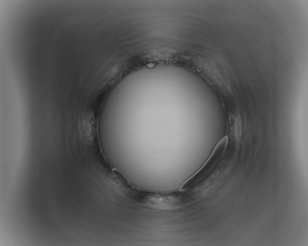 X0000112370712200908201502