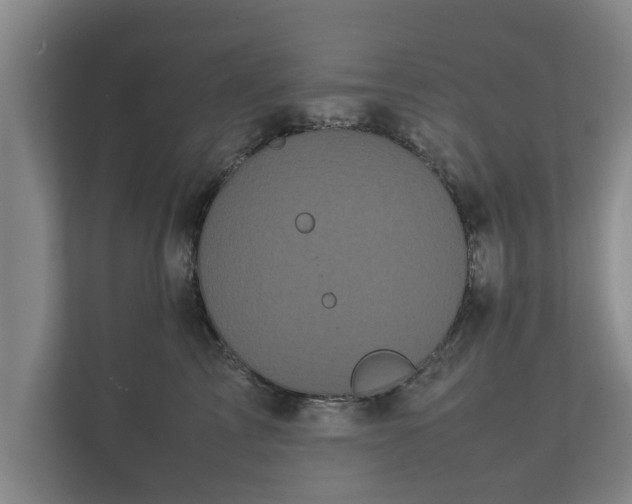 X0000112370713200908201502