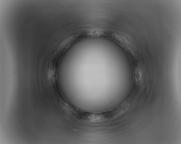 X0000112370714200908201502