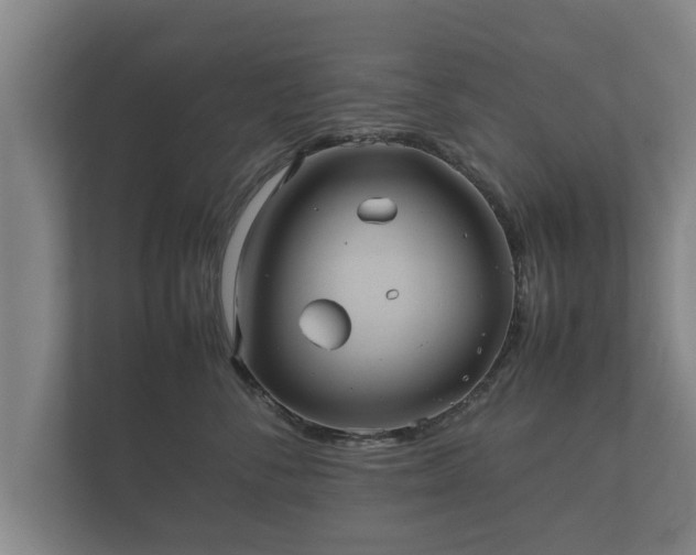 X0000112370716200908201502