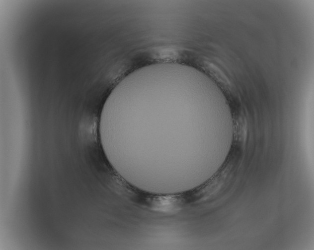 X0000112370717200908201502