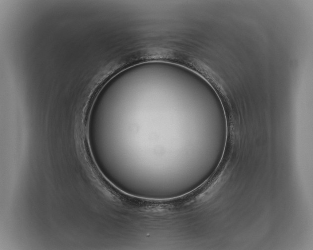 X0000112370721200908201501