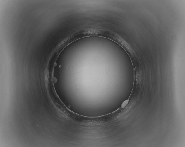 X0000112370722200908201501