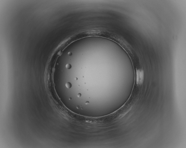 X0000112370723200908201501