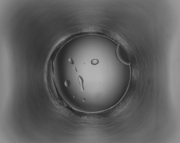 X0000112370724200908201501