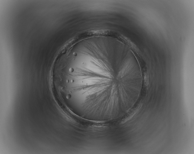 X0000112370725200908201501