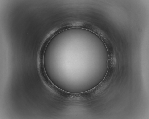 X0000112370726200908201501