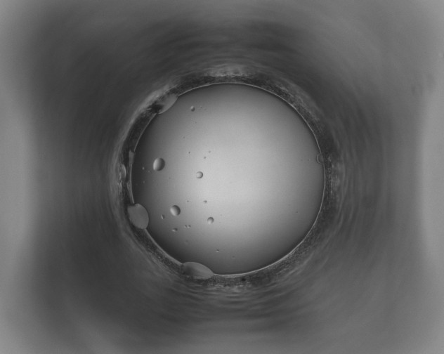 X0000112370727200908201501