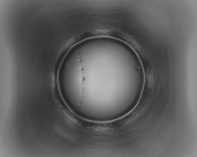 X0000112370729200908201501