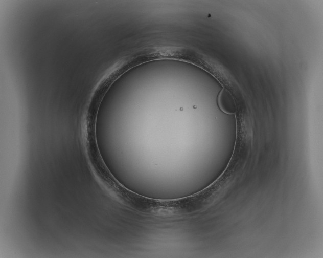 X0000112370730200908201501