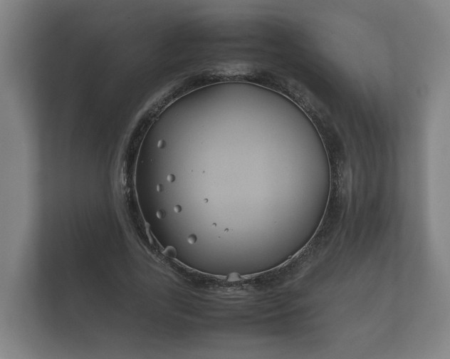 X0000112370731200908201502