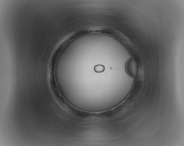 X0000112370732200908201502