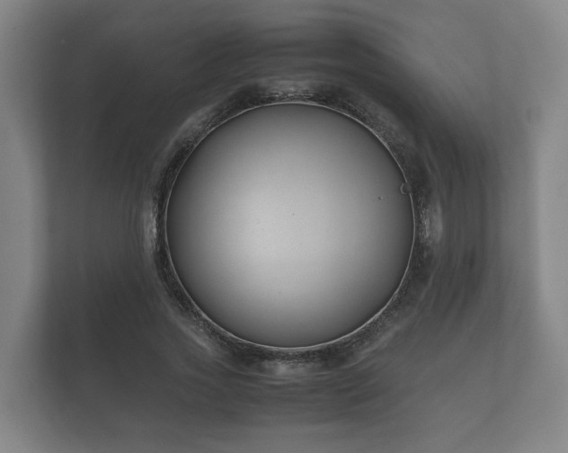 X0000112370733200908201502