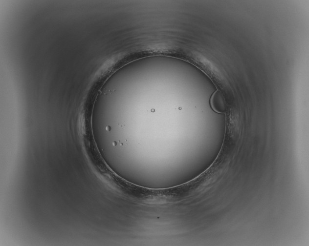 X0000112370734200908201502