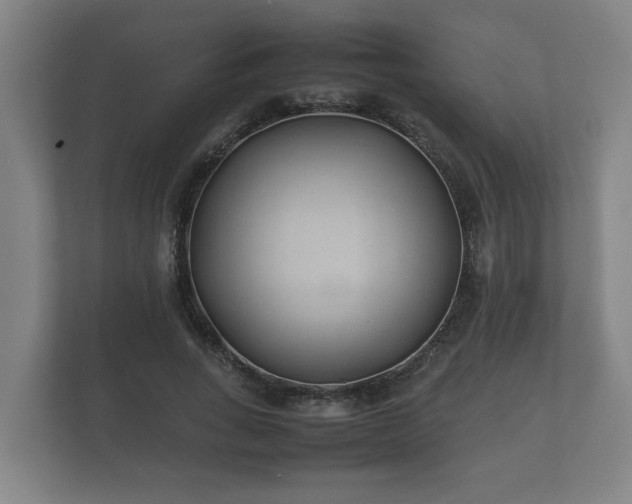 X0000112370735200908201502