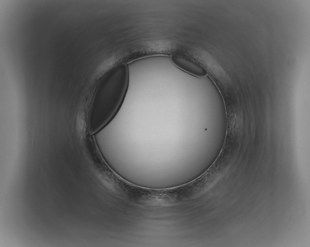 X0000112370736200908201502