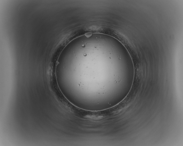 X0000112370739200908201502