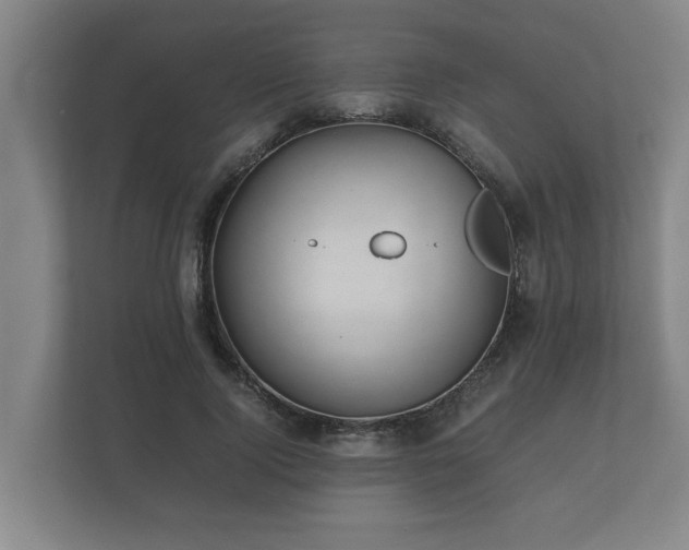 X0000112370740200908201502