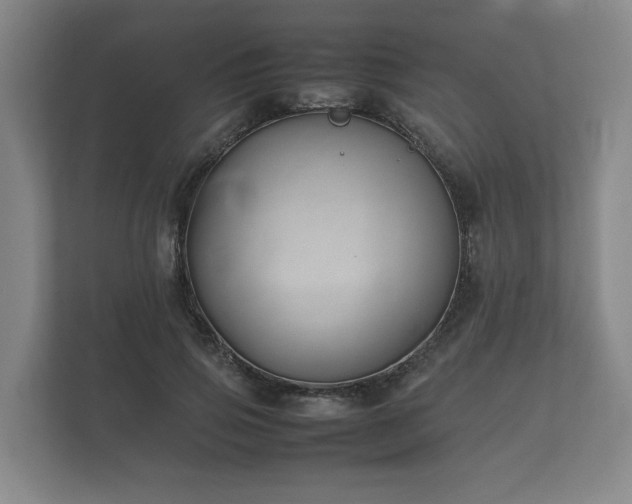 X0000112370741200908201502