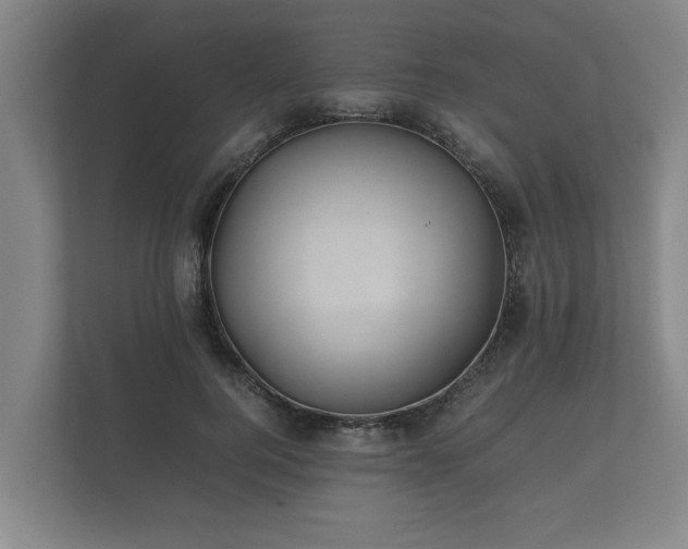 X0000112370744200908201502