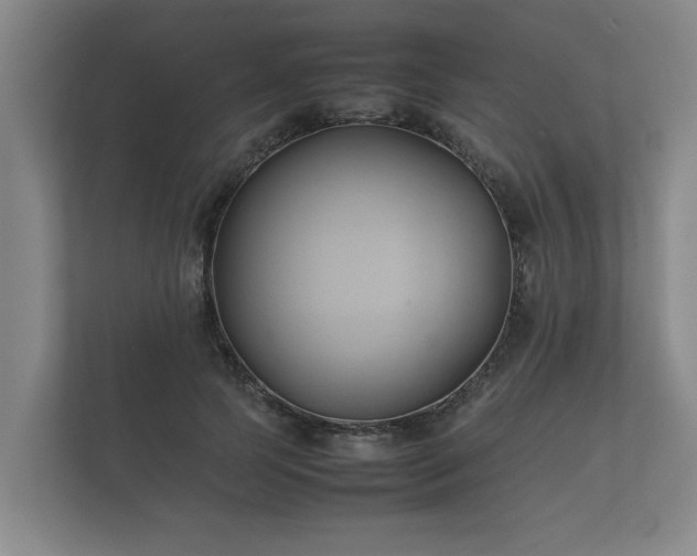 X0000112370745200908201502