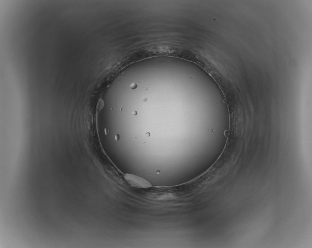 X0000112370747200908201502