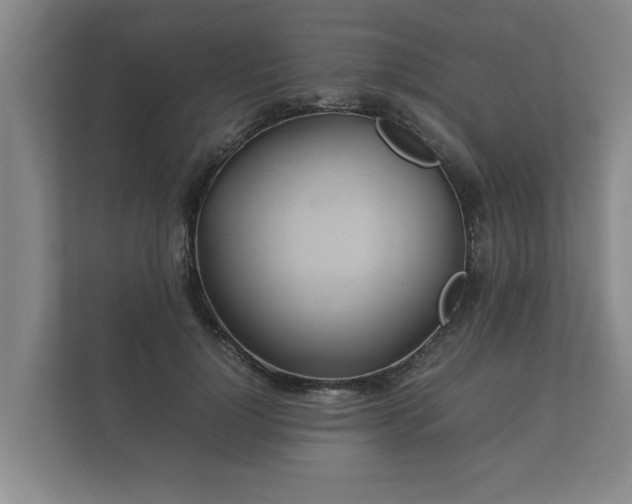 X0000112370748200908201502