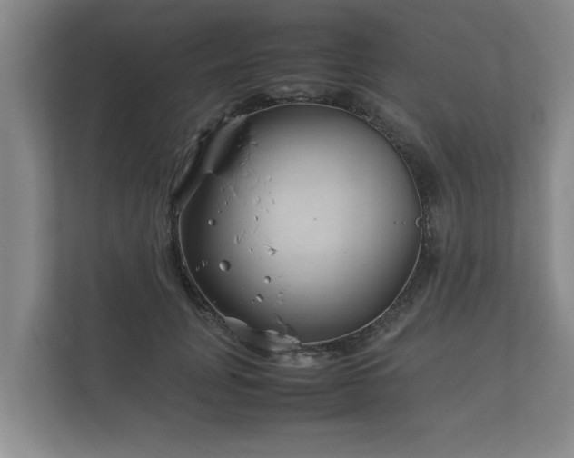 X0000112370751200908201502